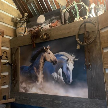 Bed and Breakfast Fox Pass Cabins Хот-Спрингс Экстерьер фото