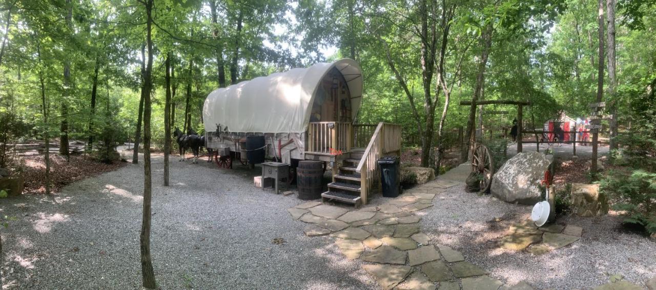 Bed and Breakfast Fox Pass Cabins Хот-Спрингс Экстерьер фото