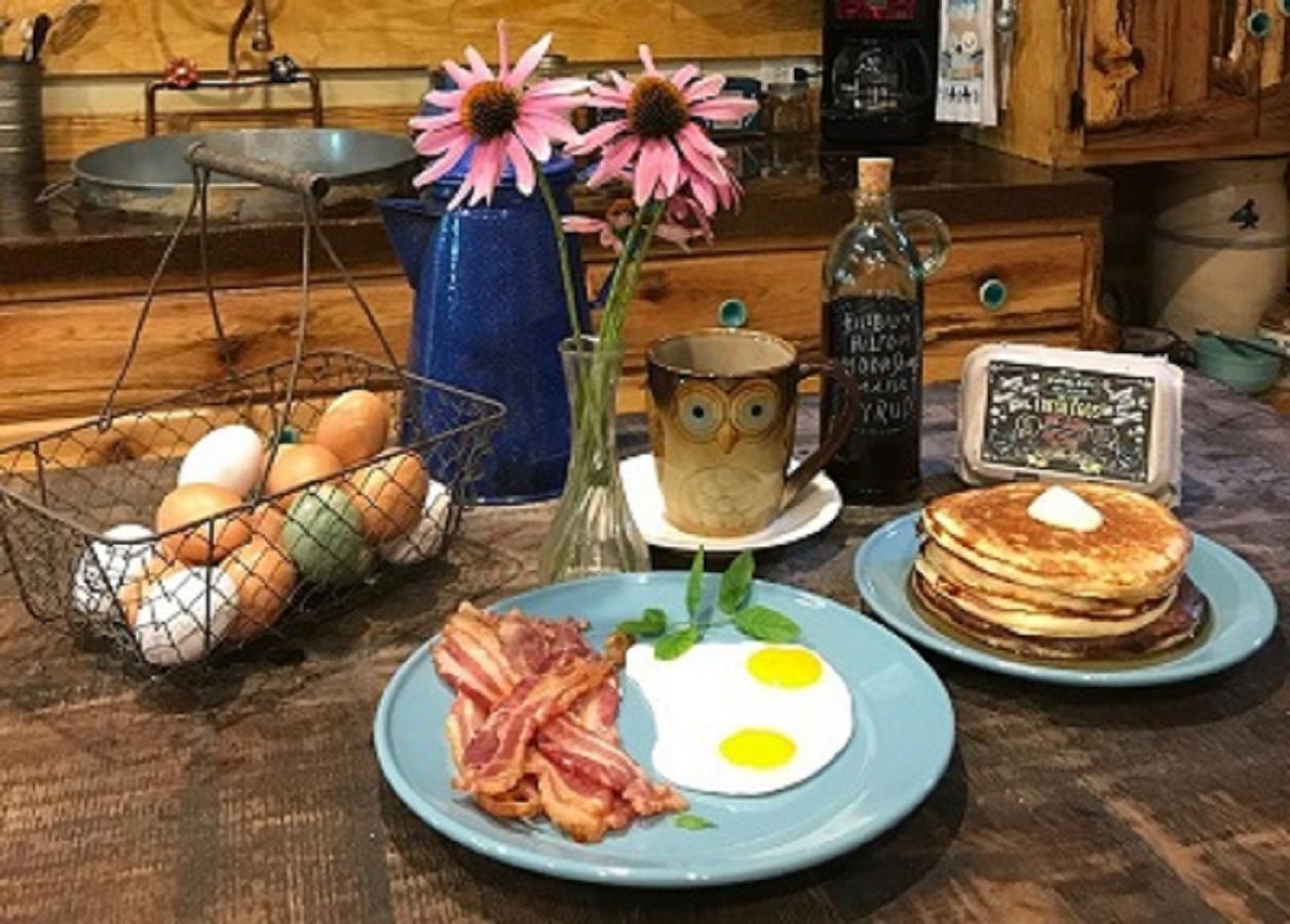 Bed and Breakfast Fox Pass Cabins Хот-Спрингс Экстерьер фото